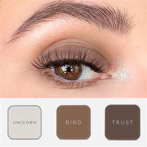 neutral eyeshadow for brown eyes.